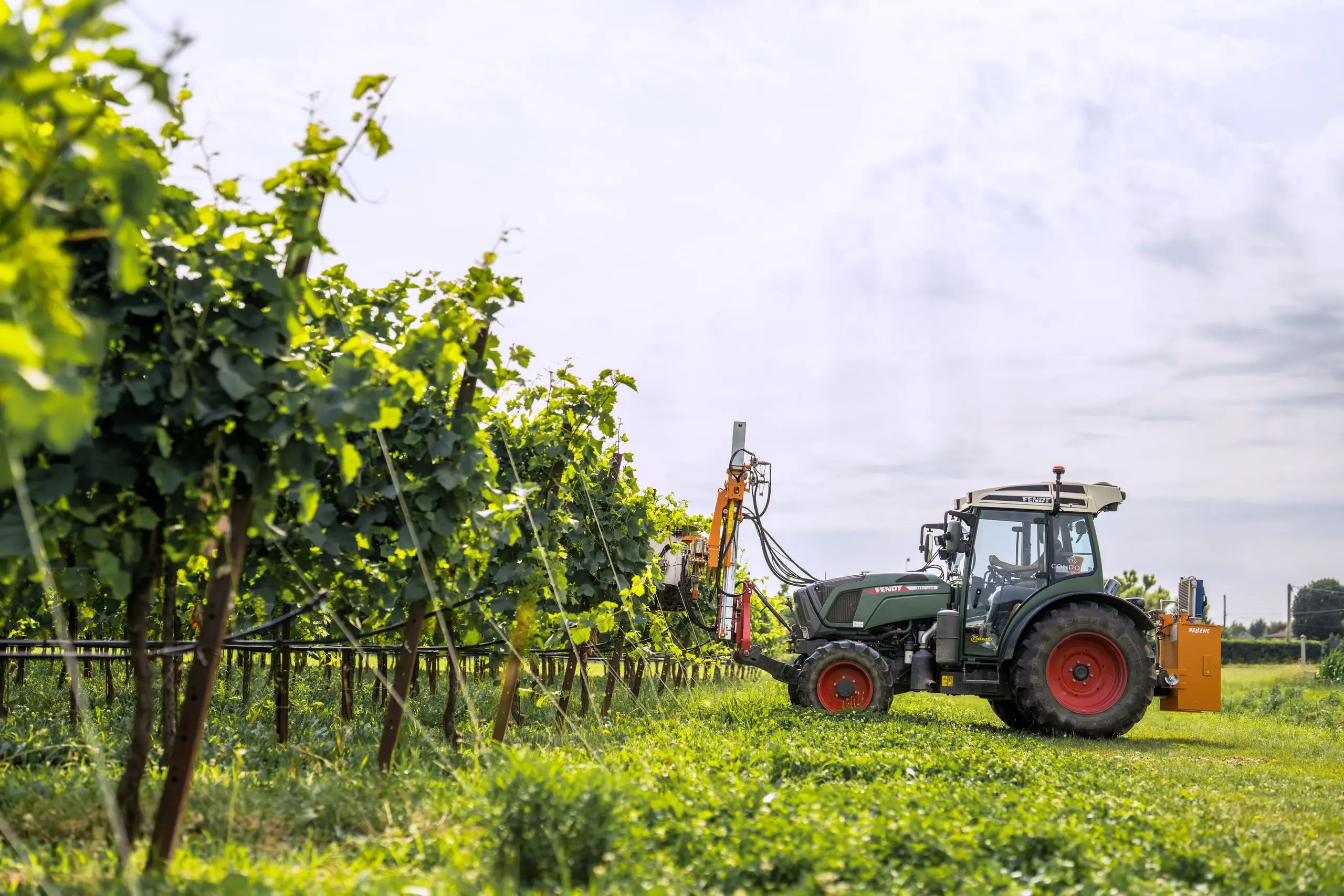 Trattore tra i vigneti